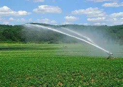 imagen de whatsapp 2025 10 09 a las 15.10.22 abcae146